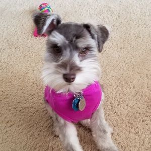 Meet your Posher, Kim